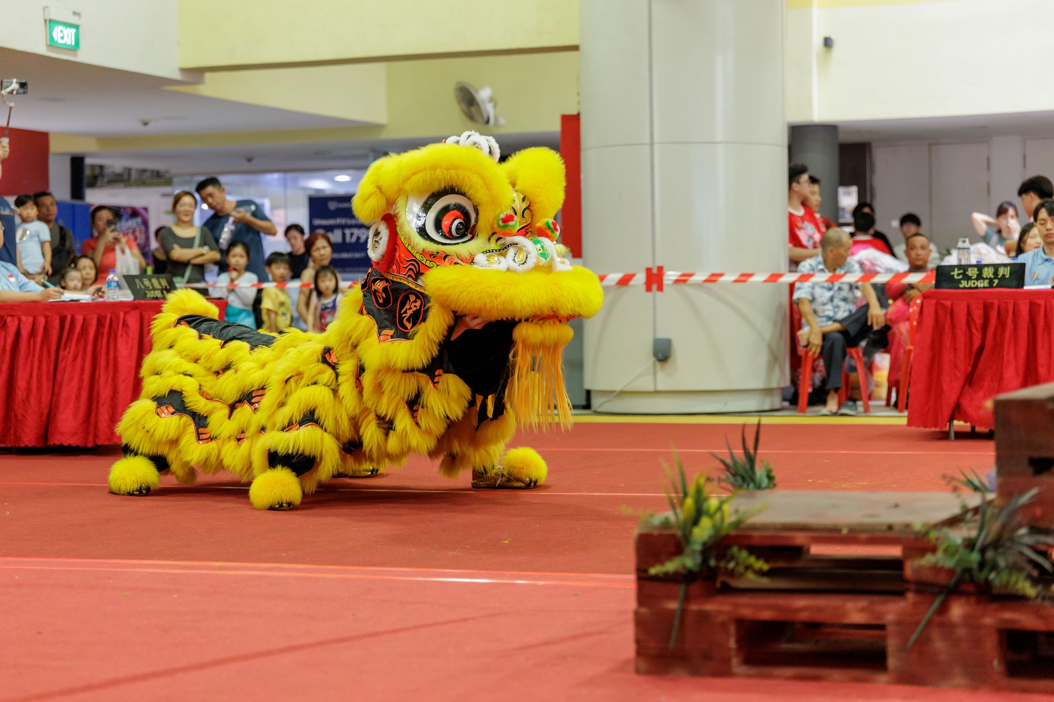 Competition performance / 舞狮比赛现场